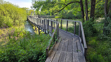 Fototapeta premium Sturdy wooden footbridge with mesh railings curves over a lush green wetland, surrounded by dense trees and aquatic plants in bright summer sunlight, offering a tranquil natural path