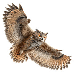 Eurasian eagle owl in flight with wings fully spread on transparent background

