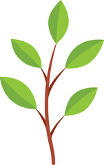 green leaf isolated on white background