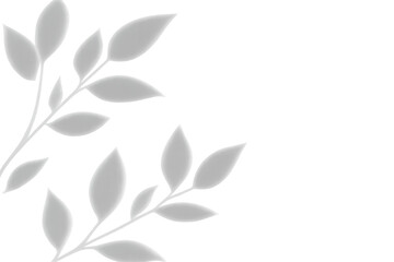 Elegant white leaves and branches forming a decorative frame on a transparent background, adding a touch of beauty and sophistication