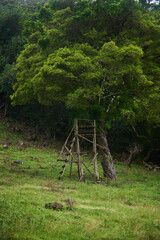 La Vallée de Ferney – Scenic nature reserve in Mauritius with lush forests, endemic wildlife, and panoramic mountain views. A peaceful eco-tourism destination rich in biodiversity and natural beauty.