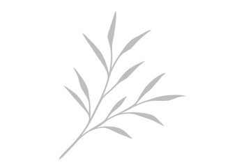 Fototapeta premium Simple gray willow branch illustration on a transparent background, ideal for minimalist nature-themed designs