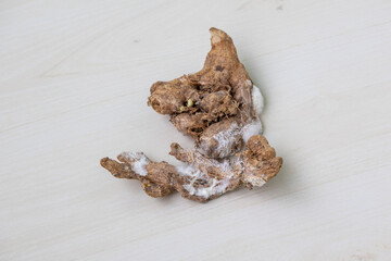 Dried ginger pieces showing signs of decay, affected by fungus from prolonged kitchen storage. Unsuitable for consumption, food spoilage.