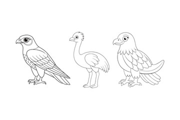 Fototapeta premium Birds coloring book bundle, Birds outline, Birds line art vector illustration