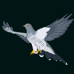 Vector illustration of a cuckoo in flight on a dark background.