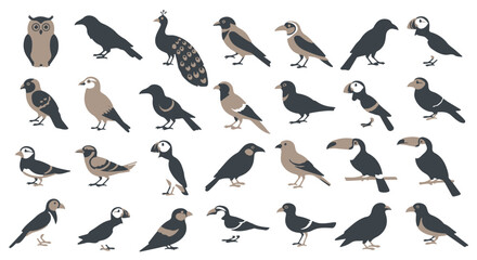 A striking collection of flying bird silhouettes, including ducks, pigeons, and sparrows, beautifully illustrates the wild grace of nature in winter