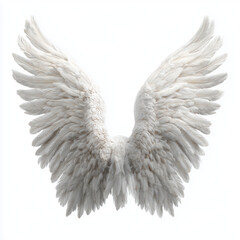 Fototapeta premium Pair of Majestic White Angel Wings , white background cut out PNG