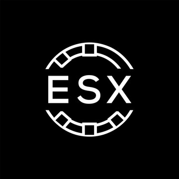 ESX Modern Tech Logo, Design &ndash; ESX Later Logo,  Futuristic Blue and White Circular Emblem on Black Background.
