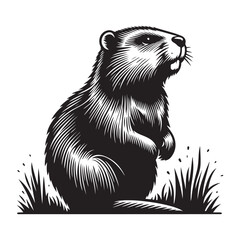 vector illustration of a bear