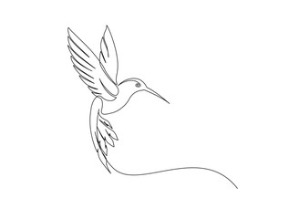 Flying hummingbird in single line draw illustration. Continuous one line drawing of colibri. Editable stroke.