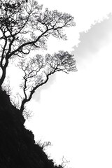 Naklejka premium Minimalist monochromatic silhouette of trees against a misty background