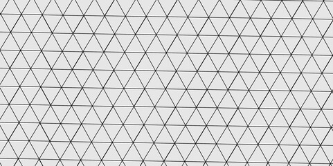 Fototapeta premium Abstract line background. abstract black lines with white background creative and geometric shape with white luxury pattern and paper texture and geometric shape with white luxury style. 