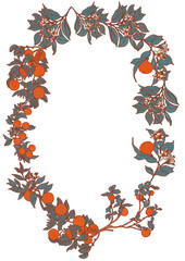 Oranges and tangerines illustration oval frame. Round fruit summer border for decor design. Citrus garden trees card template and provence photo