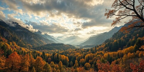 Ojcow National Park in Autumnal Glory