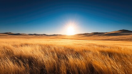 Fototapeta premium Golden field stretches under a vibrant sunset sky.
