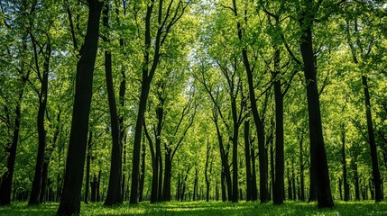 The backdrop of lush green trees, rich in color and vitality, is a perfect example of nature's vibrant beauty.