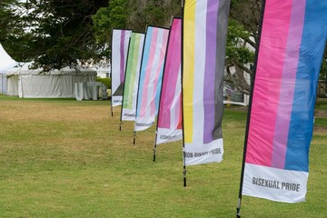 Various Pride Flags Displayed on Lawn Outdoors