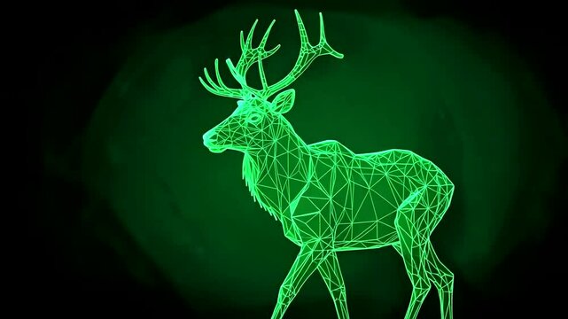 x ray motion illustration of deer