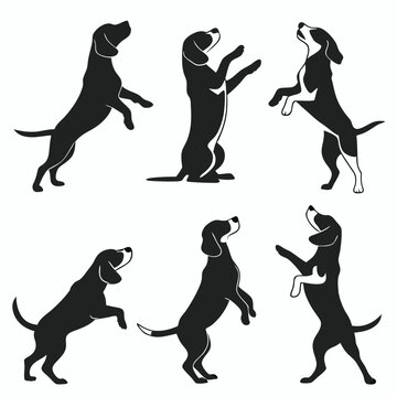 Black and white silhouette illustrations of playful beagle dogs in various poses and attitudes
