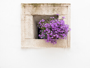 Small stone window with a pot of violet flowers. Small Italian villa.