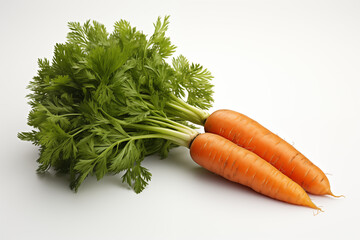 Two orange carrots placed side by side on a white background.