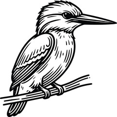 Kingfisher bird line art vector illustration isolated on a white background
