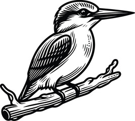 Obraz premium Kingfisher bird line art vector illustration isolated on a white background