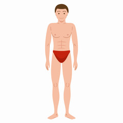 Fototapeta premium Vector illustration of a male figureVector