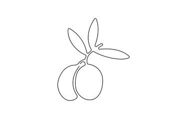 Olive Brunch Vector Illustration. Fruit, Green, Mediterranean Cuisine, Single continuous line drawing of organic olive fruit brunch. Modern one line draw.