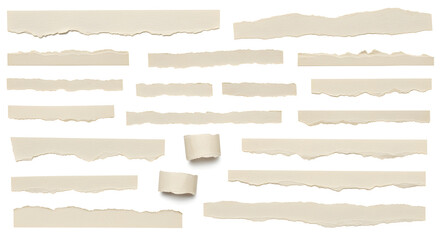 Collection of Torn Paper Strips and Curled Edges Texture and Design Elements