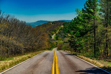 Winding road through lush and barren trees in mountains.