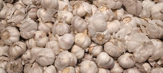 Fresh garlic for cooking. Garlic for background.