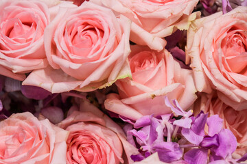 Fresh orange flowers for background
