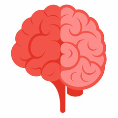 Realistic Human Brain Anatomy Vector on White Background for Medical and Educational Use