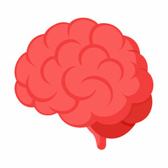 Realistic Human Brain Anatomy Vector on White Background for Medical and Educational Use
