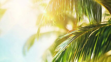 Beautiful blurred background with palm leaves and bright sunlight