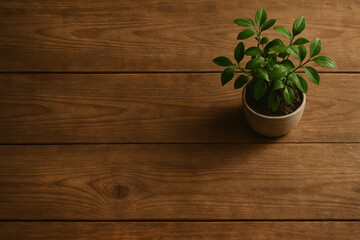 Growth and potential are symbolized by a green leafy plant thriving in a ceramic pot atop natural wooden planks representing stability and development in a professional setting