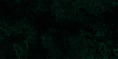 Abstract dark, organic texture featuring faint, glowing green lines tracing vein-like or neural pathways over a deep black background.  Microscopic biological network, smoke tendrils, energy flowing 