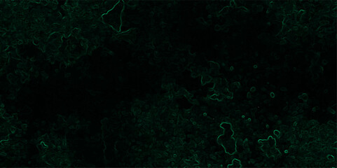 Abstract dark, organic texture featuring faint, glowing green lines tracing vein-like or neural pathways over a deep black background.  Microscopic biological network, smoke tendrils, energy flowing 
