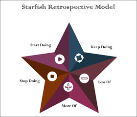 Starfish retrospective model. Infographic template with icons and description placeholder