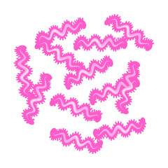 Tuberculosis Bacteria 