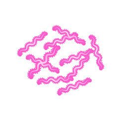 Tuberculosis Bacteria 
