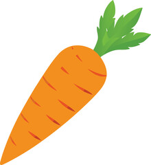 Carrot colourful vector icon