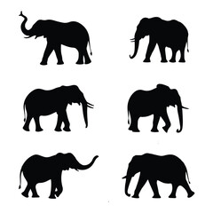 Exclusive Collection of Elephant Silhouettes	
