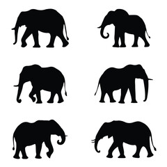 Elephant silhouettes on white background