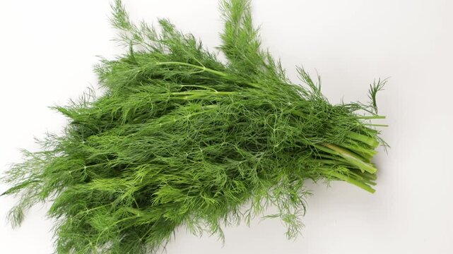 bunch green dill herbs on light surface zoom top food