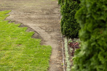 landscaping, rolling and laying of l natural awns