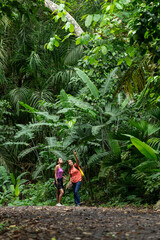 Two woman trekking in tropical rainforest, Metropolitan Natural Park, Panama City, Panama - stock...
