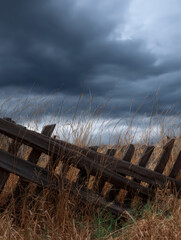 collapsed fence swallowed by weeds under stormy skies