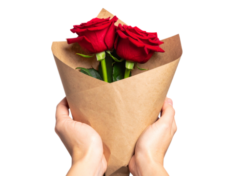 Hand Holding Red Rose Wrapped in Brown Paper, isolated on a transparent background.